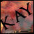 [avatar]